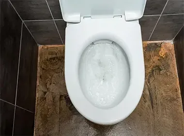 Desentupimento de Vaso Sanitário no Jardim Itapura